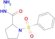 1-(Phenylsulfonyl)pyrrolidine-2-carbohydrazide