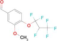 4-(1,1,2,3,3,3-hexafluoropropoxy)-3-methoxybenzaldehyde