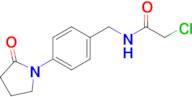 2-chloro-N-[4-(2-oxopyrrolidin-1-yl)benzyl]acetamide