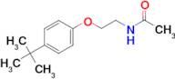 N-[2-(4-tert-butylphenoxy)ethyl]acetamide