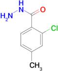 2-chloro-4-methylbenzohydrazide