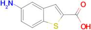5-amino-1-benzothiophene-2-carboxylic acid