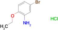 (5-bromo-2-ethoxyphenyl)amine hydrochloride