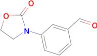 3-(2-oxo-1,3-oxazolidin-3-yl)benzaldehyde