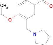 4-ethoxy-3-(pyrrolidin-1-ylmethyl)benzaldehyde