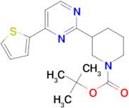 tert-butyl 3-[4-(2-thienyl)pyrimidin-2-yl]piperidine-1-carboxylate