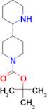 tert-butyl 2,4'-bipiperidine-1'-carboxylate