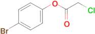 4-bromophenyl chloroacetate