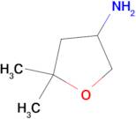 5,5-Dimethyltetrahydrofuran-3-amine