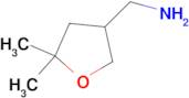 (5,5-Dimethyltetrahydrofuran-3-yl)methylamine