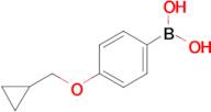 (4-(Cyclopropylmethoxy)phenyl)boronic acid