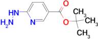 tert-Butyl 6-hydrazinylnicotinate