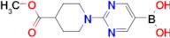 (2-(4-(Methoxycarbonyl)piperidin-1-yl)pyrimidin-5-yl)boronic acid