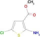 Methyl 2-amino-5-chlorothiophene-3-carboxylate