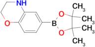 6-(4,4,5,5-Tetramethyl-1,3,2-dioxaborolan-2-yl)-3,4-dihydro-2H-benzo[b][1,4]oxazine