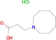 3-(1-azocanyl)propanoic acid hydrochloride