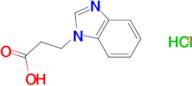 3-(1H-benzimidazol-1-yl)propanoic acid dihydrochloride