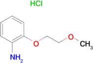 [2-(2-methoxyethoxy)phenyl]amine hydrochloride