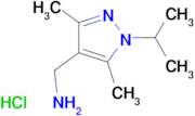 [(1-isopropyl-3,5-dimethyl-1H-pyrazol-4-yl)methyl]amine hydrochloride