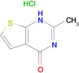 2-methylthieno[2,3-d]pyrimidin-4(3H)-one hydrochloride