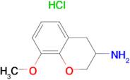 (8-methoxy-3,4-dihydro-2H-chromen-3-yl)amine hydrochloride
