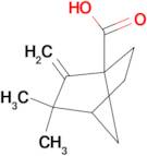 3,3-dimethyl-2-methylenebicyclo[2.2.1]heptane-1-carboxylic acid