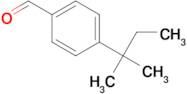 4-(TERT-PENTYL)BENZALDEHYDE