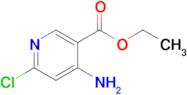 Ethyl 4-amino-6-chloropyridine-3-carboxylate