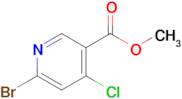 METHYL 6-BROMO-4-CHLORONICOTINATE