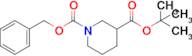 N-CBZ-3-PIPERIDINECARBOXYLIC ACID T-BUTYL ESTER