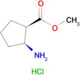METHYL CIS-2-AMINOCYCLOPENTANECARBOXYLATE HCL
