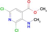 METHYL 2,6-DICHLORO-3-(METHYLAMINO)ISONICOTINATE