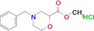 METHYL 4-BENZYLMORPHOLINE-2-CARBOXYLATE HCL