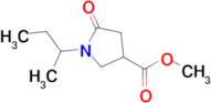 METHYL 1-SEC-BUTYL-5-OXOPYRROLIDINE-3-CARBOXYLATE