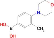 3-METHYL-4-MORPHOLINOPHENYLBORONIC ACID