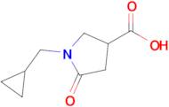 1-(CYCLOPROPYLMETHYL)-5-OXOPYRROLIDINE-3-CARBOXYLIC ACID