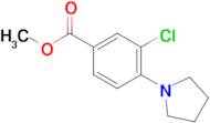 METHYL 3-CHLORO-4-(1-PYRROLIDINYL)BENZOATE