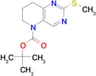 5-BOC-2-(METHYLTHIO)-5,6,7,8-TETRAHYDROPYRIDO[3,2-D]PYRIMIDINE