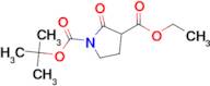 Ethyl 1-BOC-2-oxopyrrolidine-3-carboxylate