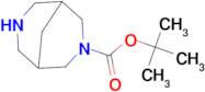 TERT-BUTYL 3,7-DIAZABICYCLO[3.3.1]NONANE-3-CARBOXYLATE