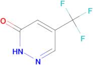 5-(TRIFLUOROMETHYL)PYRIDAZIN-3(2H)-ONE