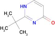 2-(TERT-BUTYL)PYRIMIDIN-4(3H)-ONE