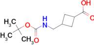 3-(((TERT-BUTOXYCARBONYL)AMINO)METHYL)CYCLOBUTANECARBOXYLIC ACID