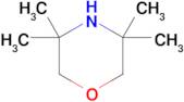 3,3,5,5-TETRAMETHYLMORPHOLINE