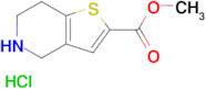 METHYL 4,5,6,7-TETRAHYDROTHIENO[3,2-C]PYRIDINE-2-CARBOXYLATE HCL