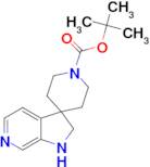 TERT-BUTYL 1',2'-DIHYDROSPIRO[PIPERIDINE-4,3'-PYRROLO[2,3-C]PYRIDINE]-1-CARBOXYLATE