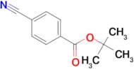 TERT-BUTYL 4-CYANOBENZOATE