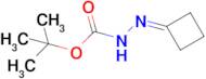 TERT-BUTYL CYCLOBUTYLIDENECARBAZATE