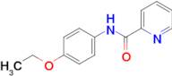 N-(4-ETHOXYPHENYL)PICOLINAMIDE