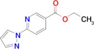 ETHYL 6-(1H-PYRAZOL-1-YL)PYRIDINE-3-CARBOXYLATE